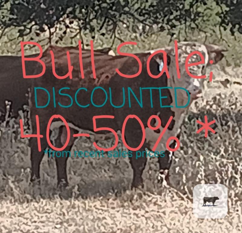 Cattle Range Listing Photo