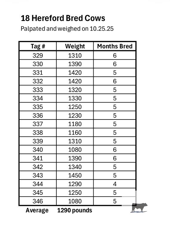 Cattle Range Listing Photo 6