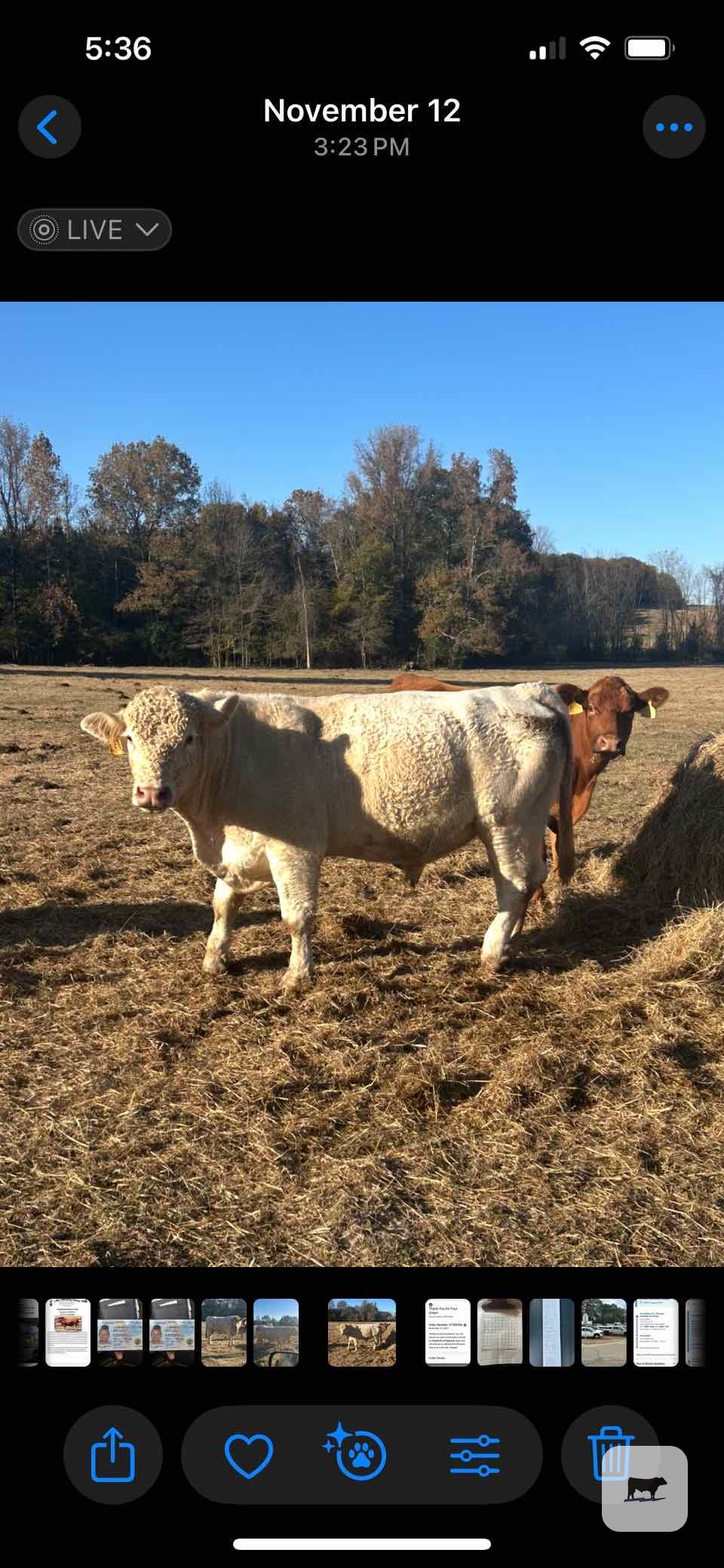 Cattle Range Listing Photo