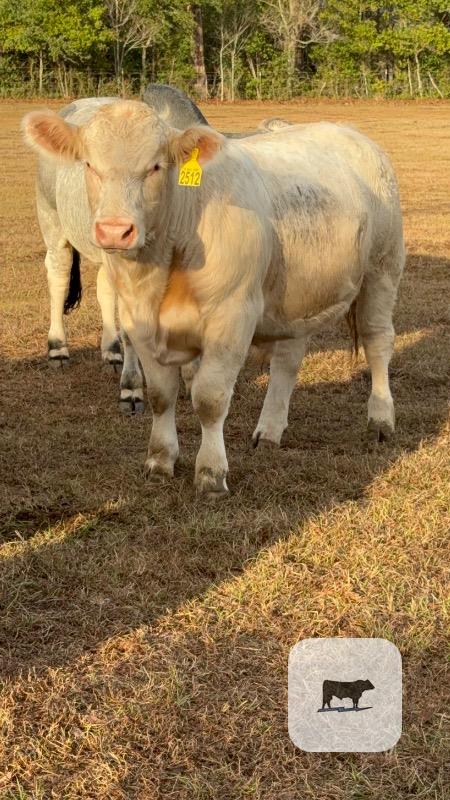 Cattle Range Listing Photo