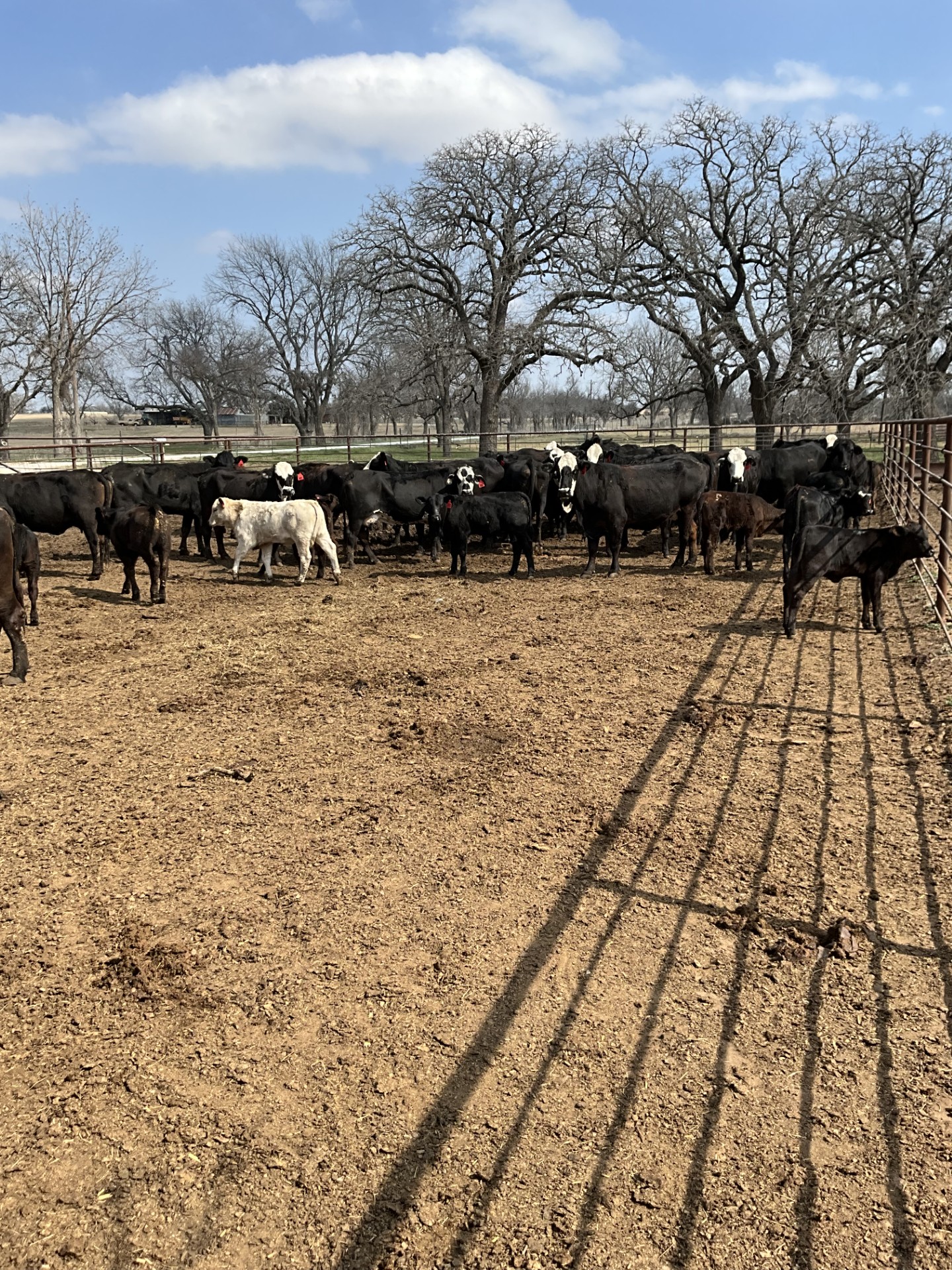 Cattle Range Listing Photo