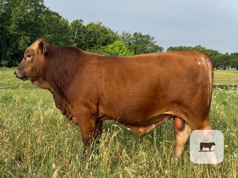 Cattle Range Listing Photo