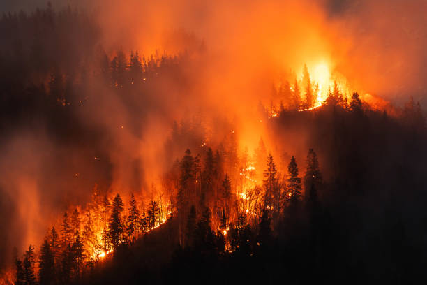 USDA Secretary Brooke Rollins Announces Wildfire Response System Overhaul
