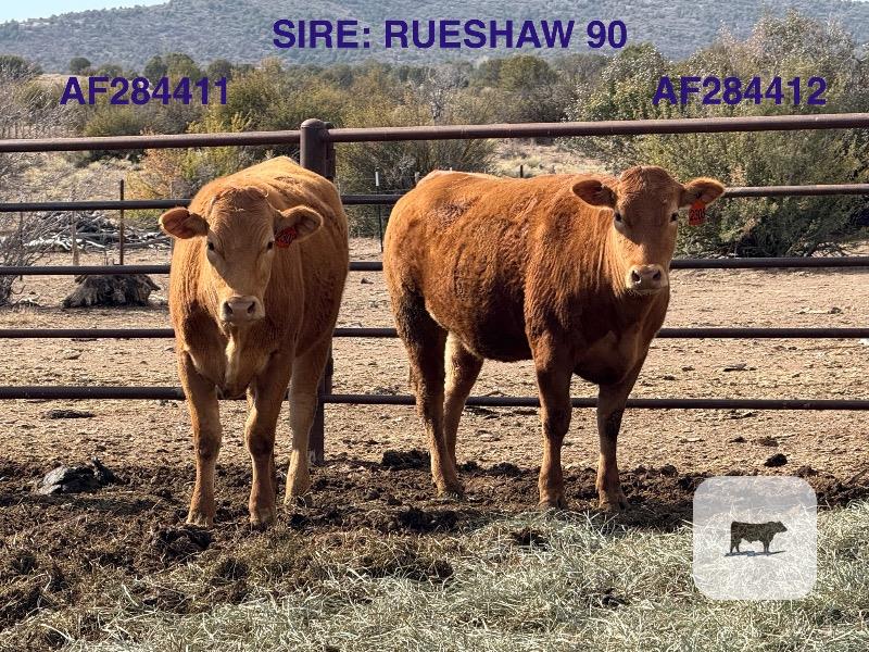 Cattle Range Listing Photo