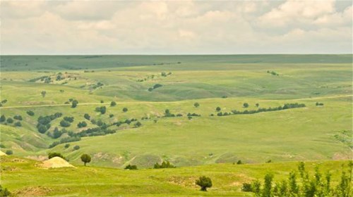Pasture & Range Conditions as of 6/29/25