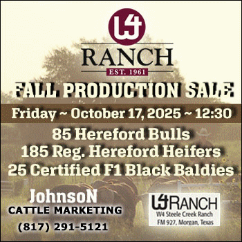 Johnson Cattle Marketing W4 Ranch Fall Production Sale (1)
