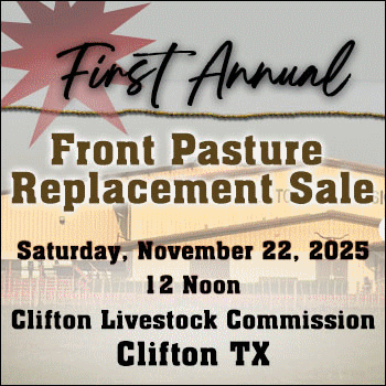 Clifton Livestock Commission 1st Annual Front Pasture Replacement Sale