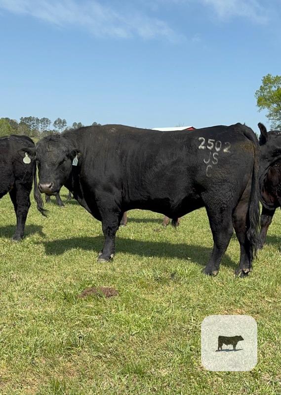 Cattle Range Listing Photo