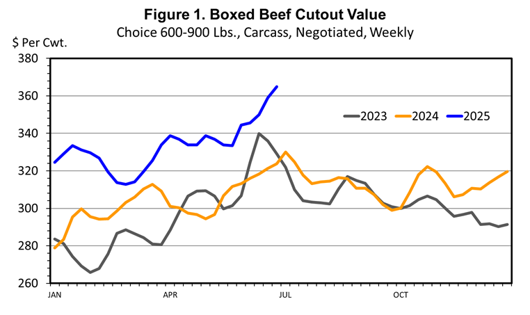 Declining Beef Production Pushes Prices Higher