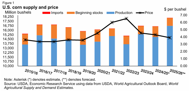 U.S. 2025/26 Corn Supplies Sharply Higher on Area & Yield Gains