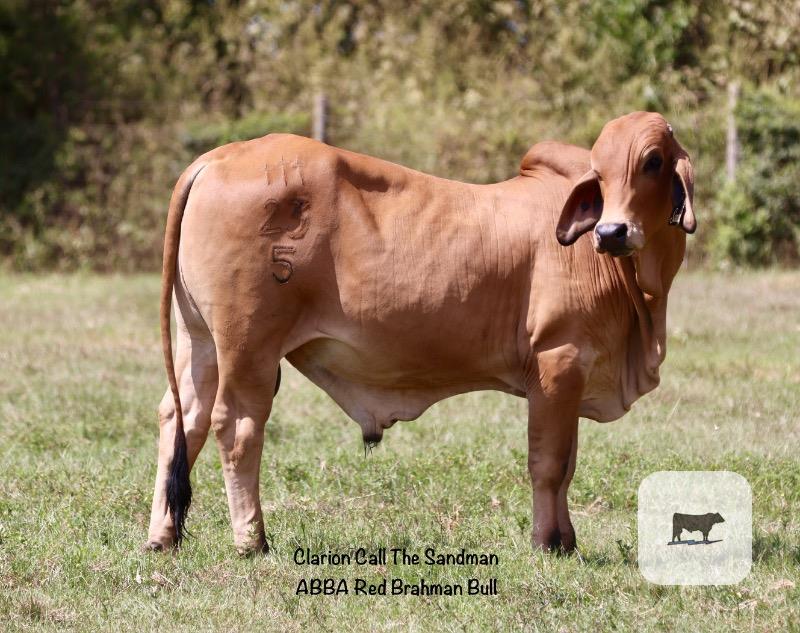 Cattle Range Listing Photo