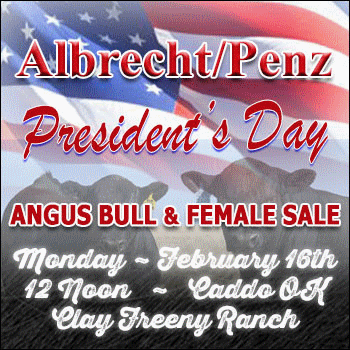Albrecht/Penz 15th Annual President's Day Angus Bull & Female Sale