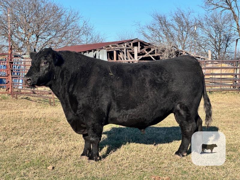 Cattle Range Listing Photo