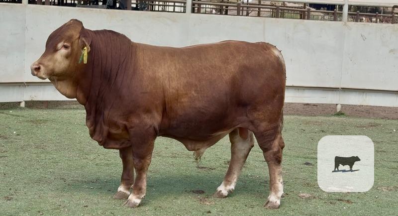Cattle Range Listing Photo