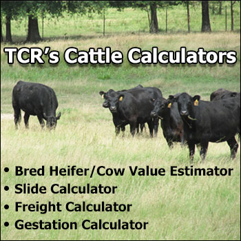 TCR's Bred Heifer & Cow Value Estimator