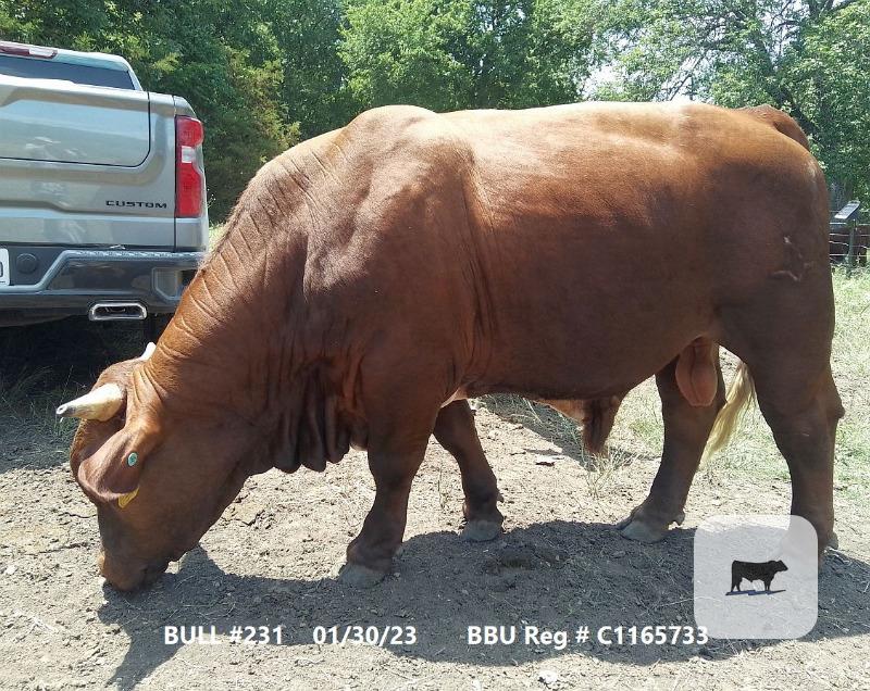 Cattle Range Listing Photo