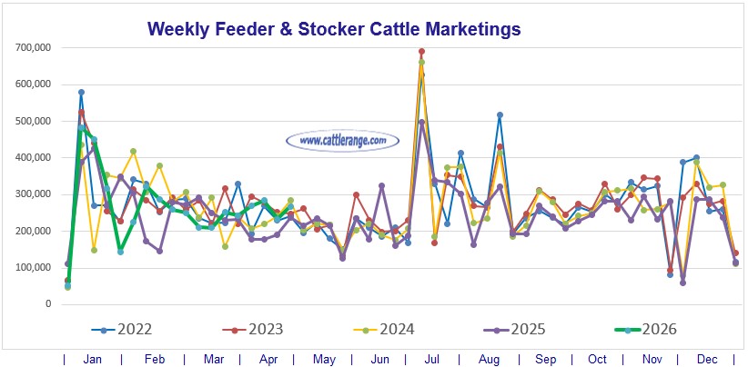 Feeder & Stocker Cattle Marketings for the week ending 4/25/26