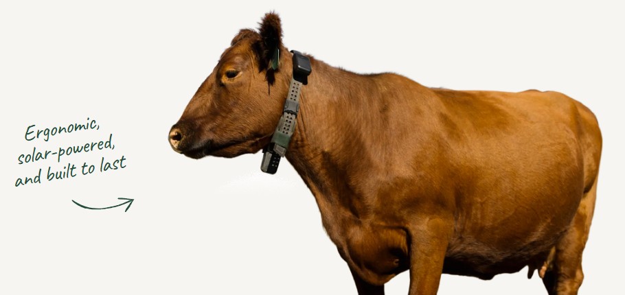 Peter Thiel’s Big Bet on Solar-Powered Cattle Collars