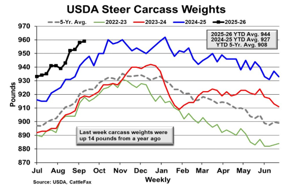 Carcass Weights, Quality Grades & Consumer Demand
