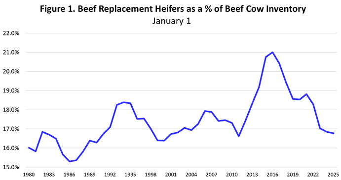 Strong Cattle Markets Threatened by Uncertainty and Volatility