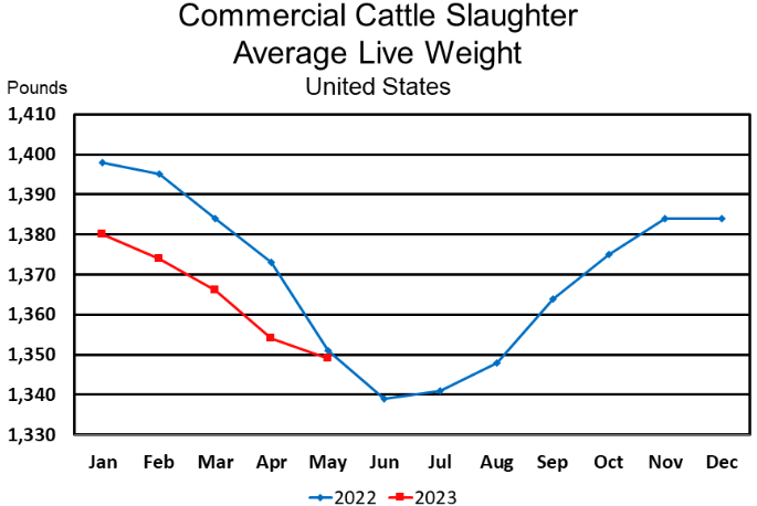 Record High Red Meat and Pork Production in May