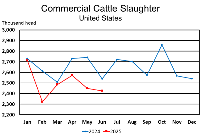 June Commercial Red Meat Production Down 1 Percent from Last Year