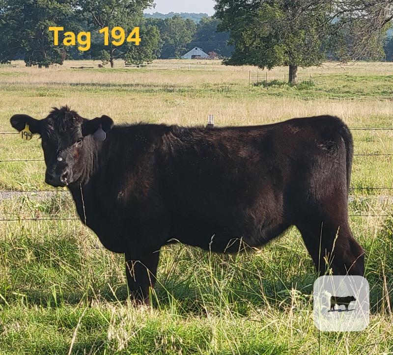 Cattle Range Listing Photo