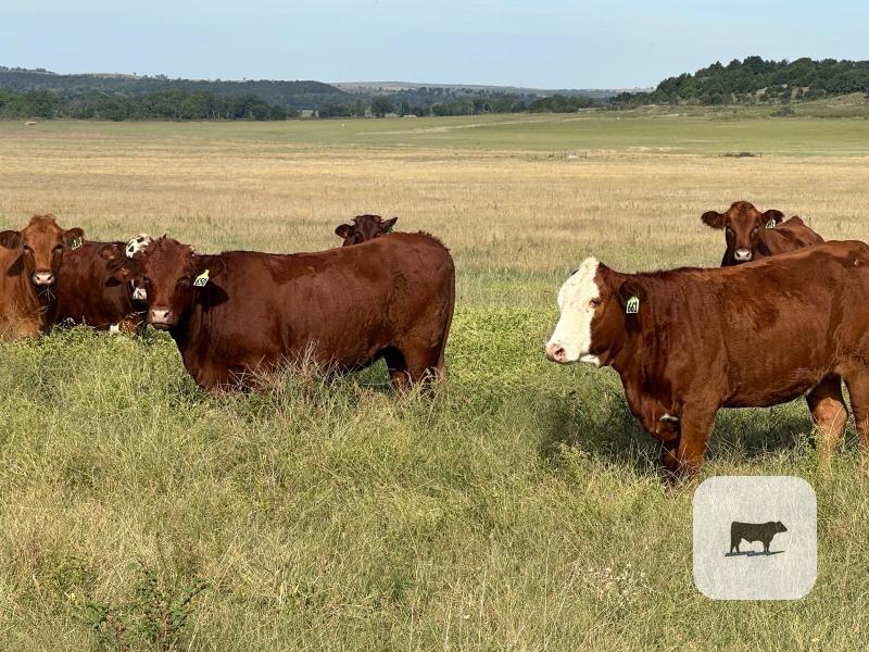 Pasture & Range Conditions as of 9/28/25