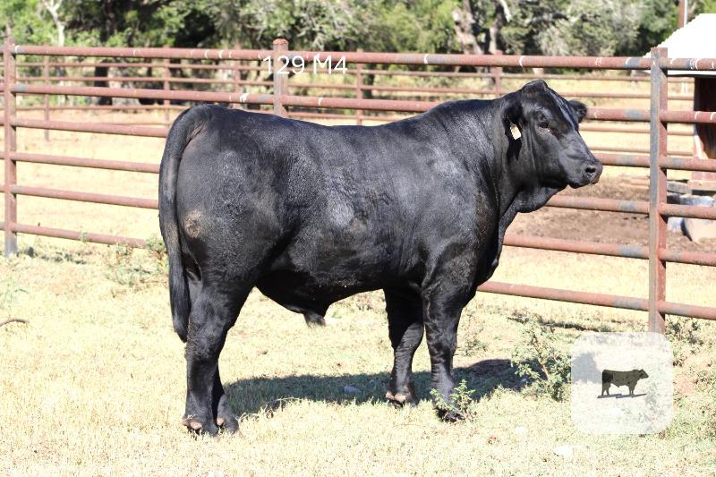 Cattle Range Listing Photo