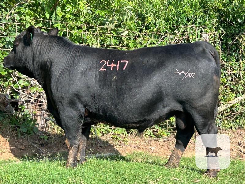 Cattle Range Listing Photo