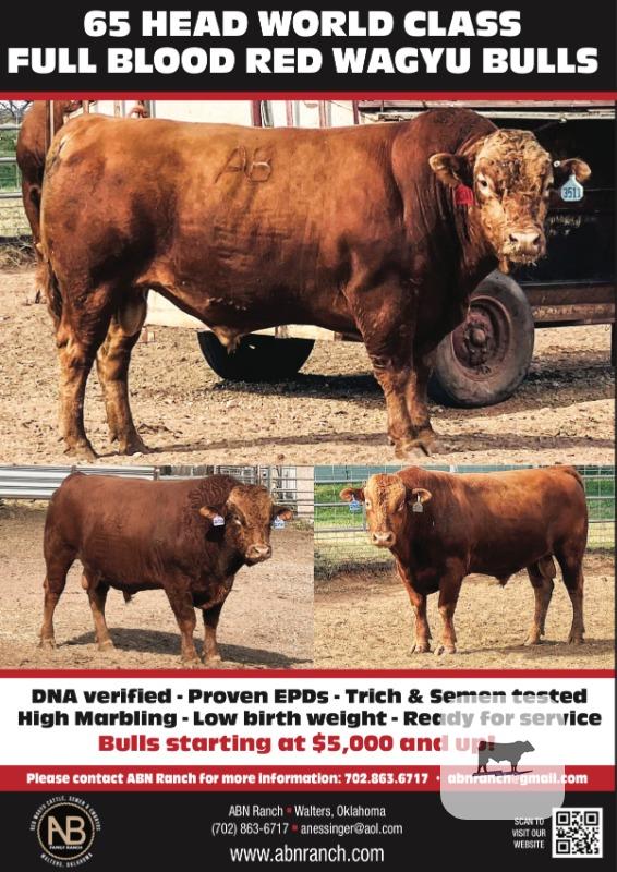 Cattle Range Listing Photo