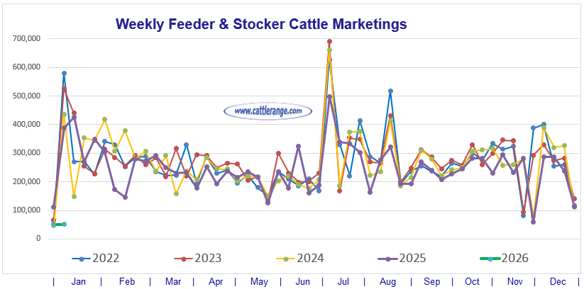 Feeder & Stocker Cattle Marketings for the week ending 1/3/26