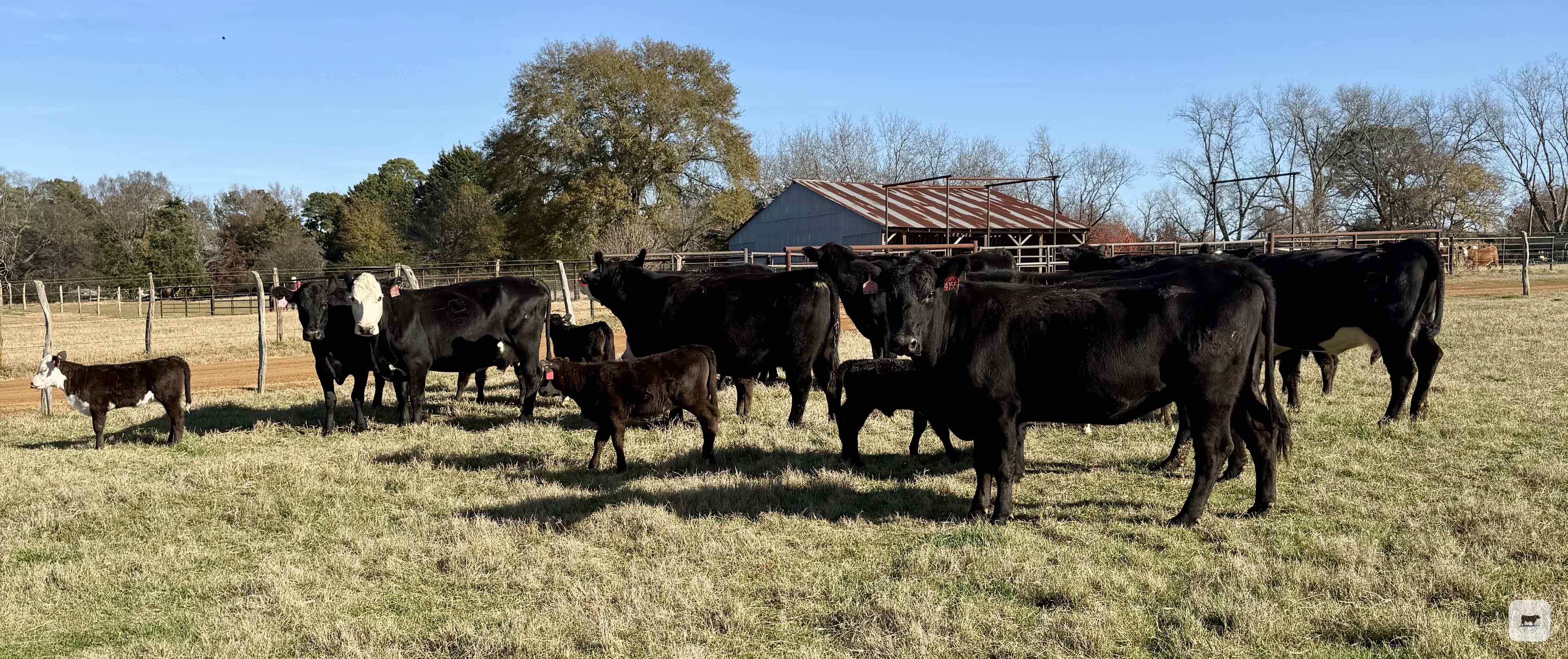 Cattle Range Listing Photo