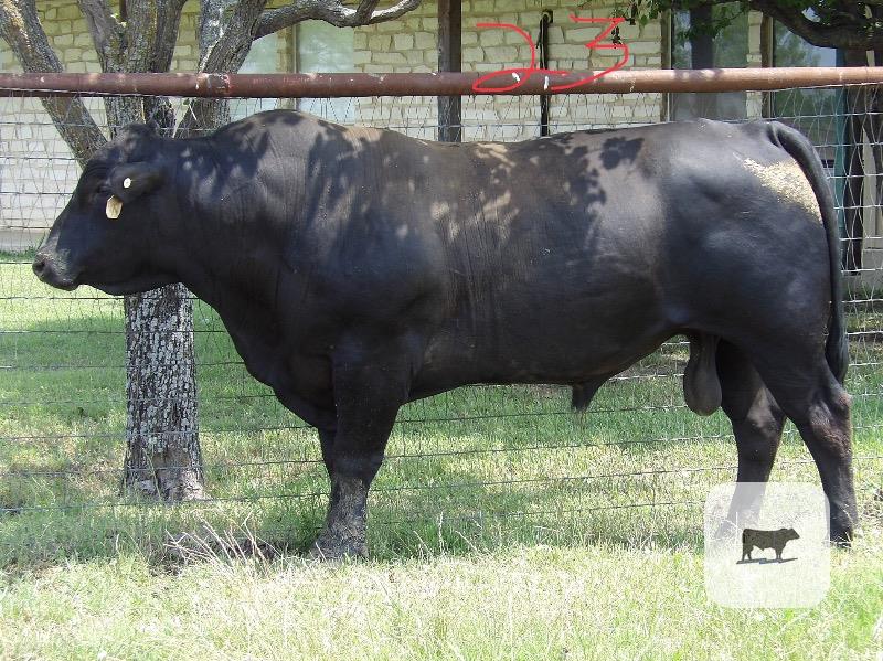 Cattle Range Listing Photo
