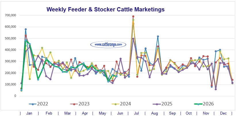 Feeder & Stocker Cattle Marketings for the week ending June 6, 2026