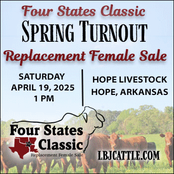 Four States Classic Spring Turnout Replacement Female Sale (1)
