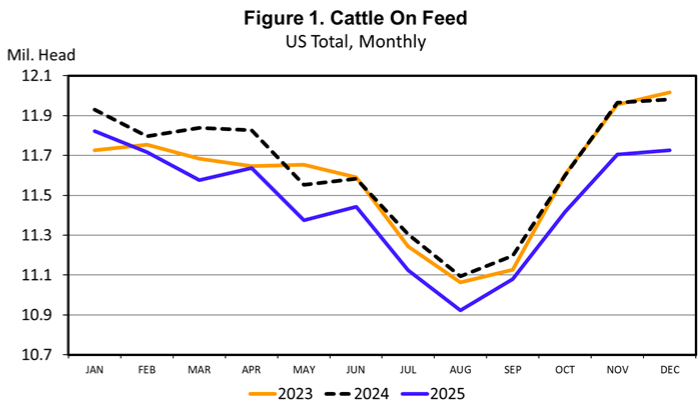 Feedlot Production Dropping Fast