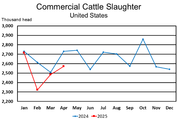 April Commercial Red Meat Production Down 1 Percent from Last Year
