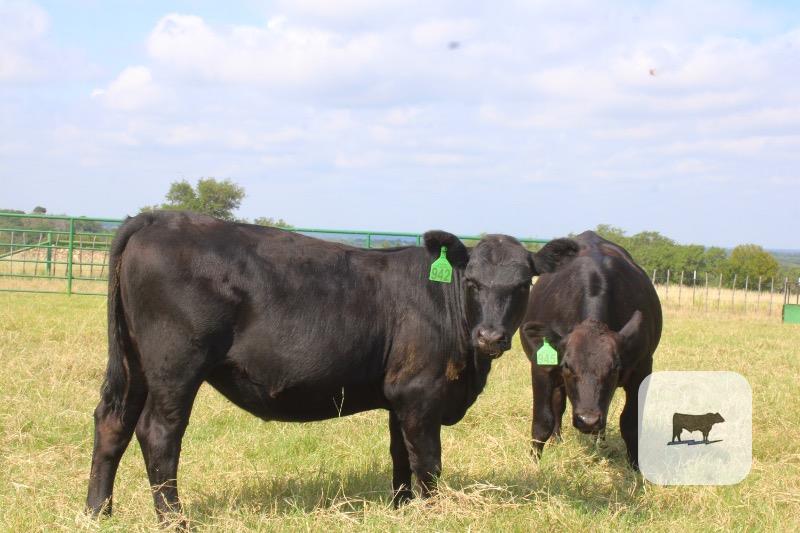 Cattle Range Listing Photo