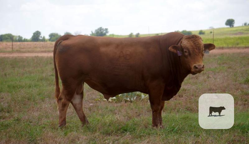 Cattle Range Listing Photo