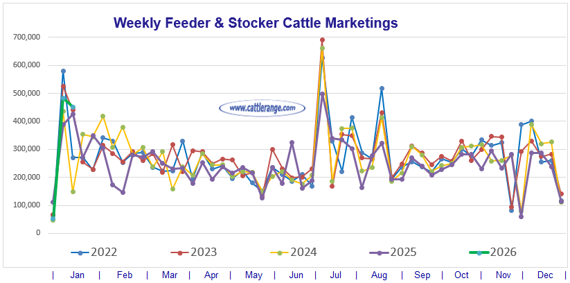 Feeder & Stocker Cattle Marketings for the week ending 1/17/26
