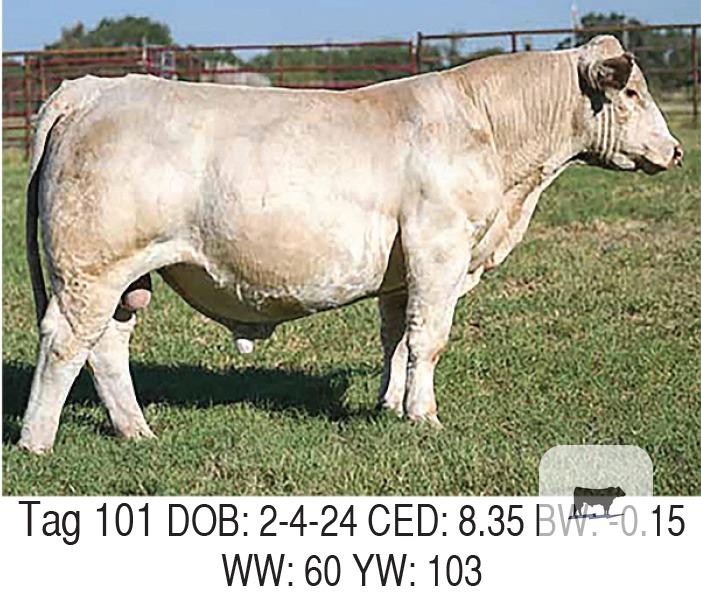 Cattle Range Listing Photo