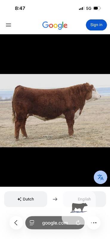 Cattle Range Listing Photo