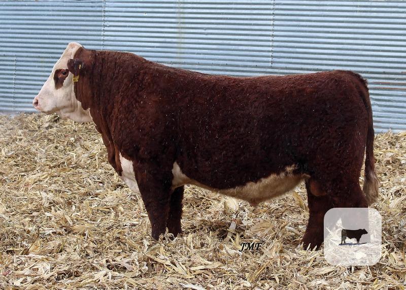 Cattle Range Listing Photo