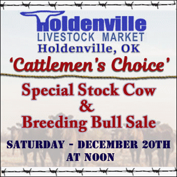 Holdenville Livestock Market Cattlemen's Choice Special Stock Cow and Bull Sale
