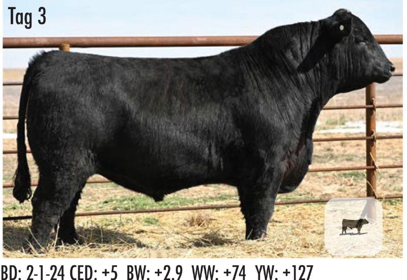 Cattle Range Listing Photo