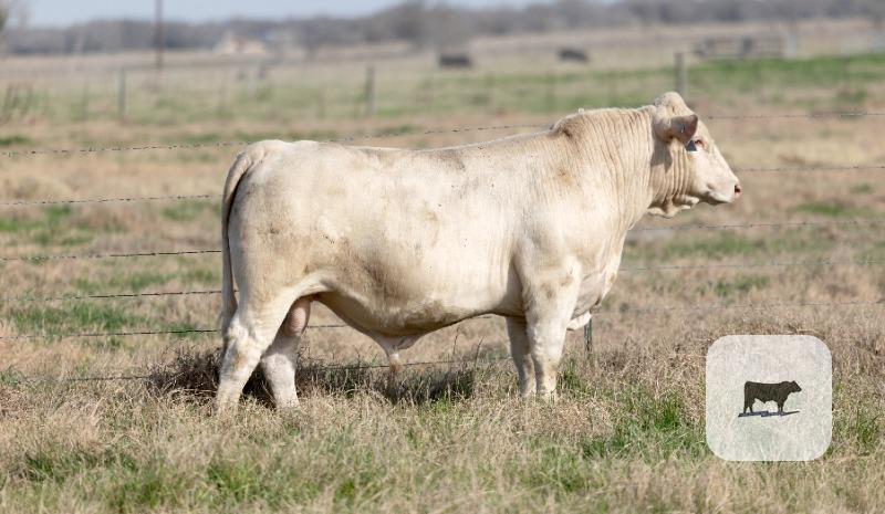 Cattle Range Listing Photo