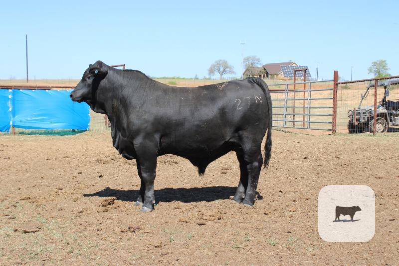 Cattle Range Listing Photo