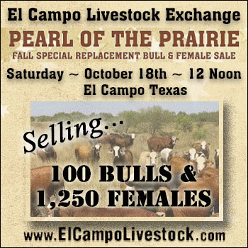El Campo Pearl of the Prairie Fall Special Bull & Replacement Sale