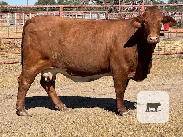 Cattle Range Listing Photo